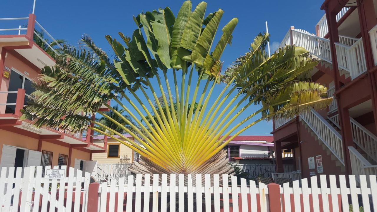 Caye Caulker Condos Экстерьер фото